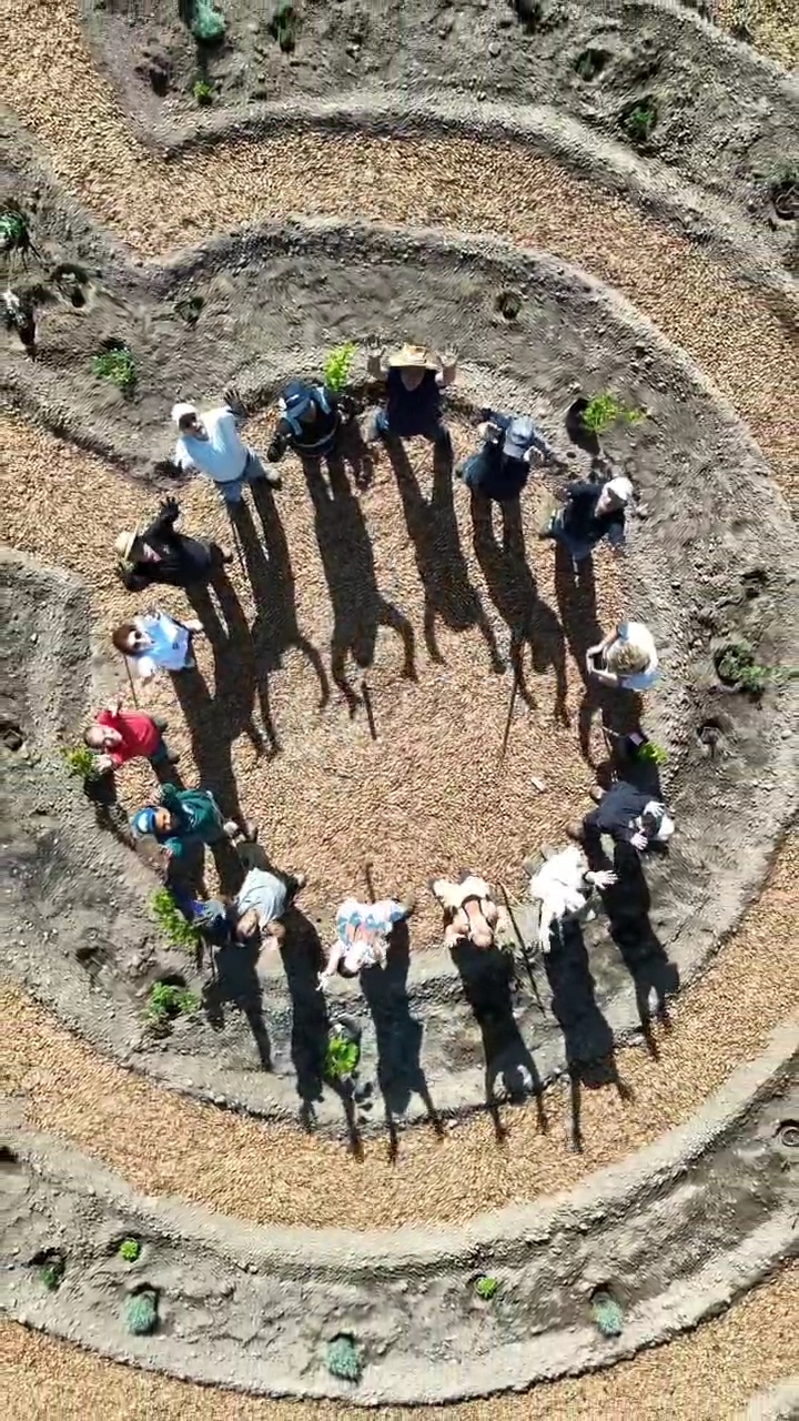 Vista aérea del grupo en círculo dentro de un bosque medicinal en espiral recién plantado en Pirque.