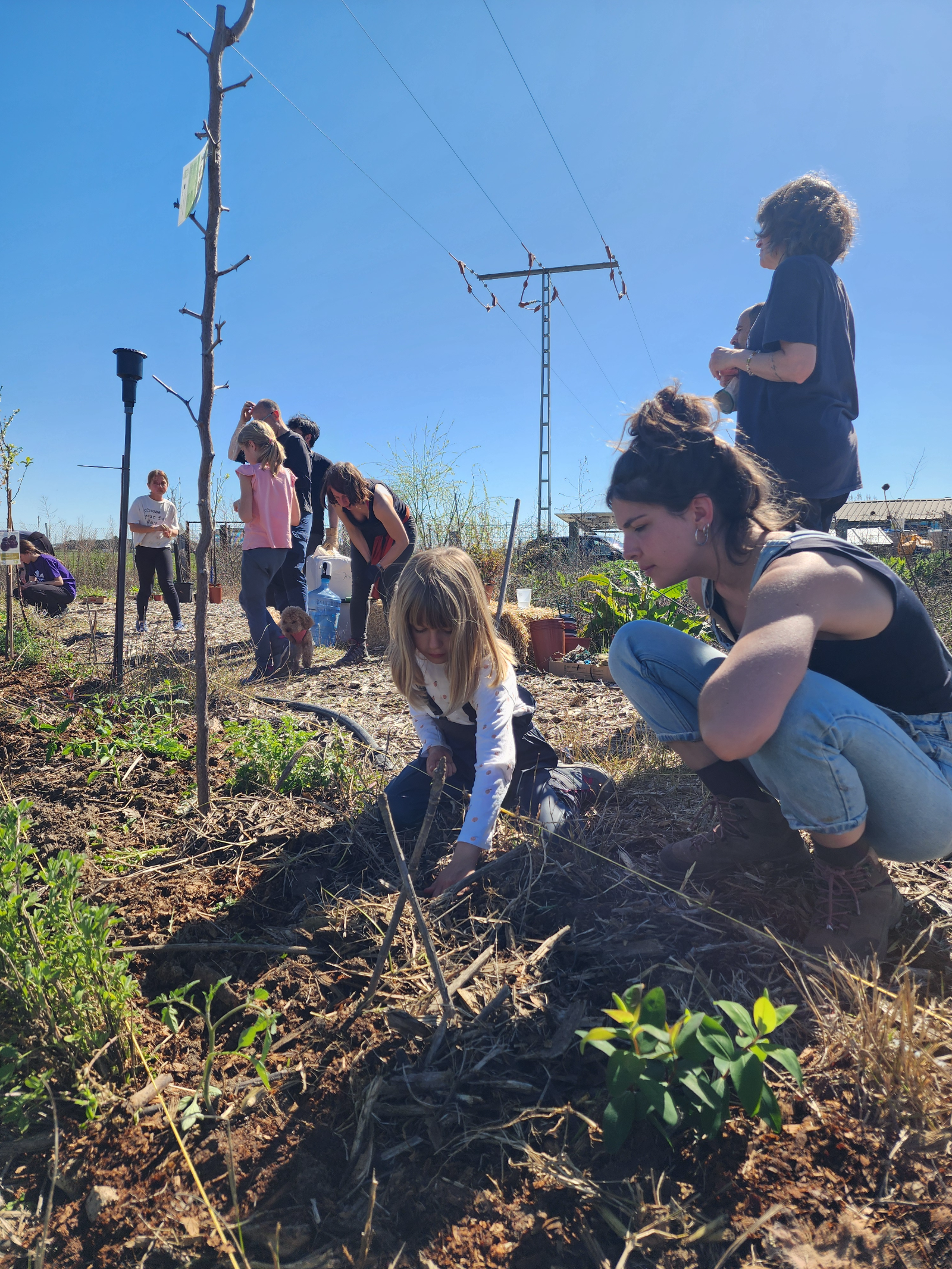 Familias plantando un bosque de alimentos en una jornada soleada en Moderny Farmily.