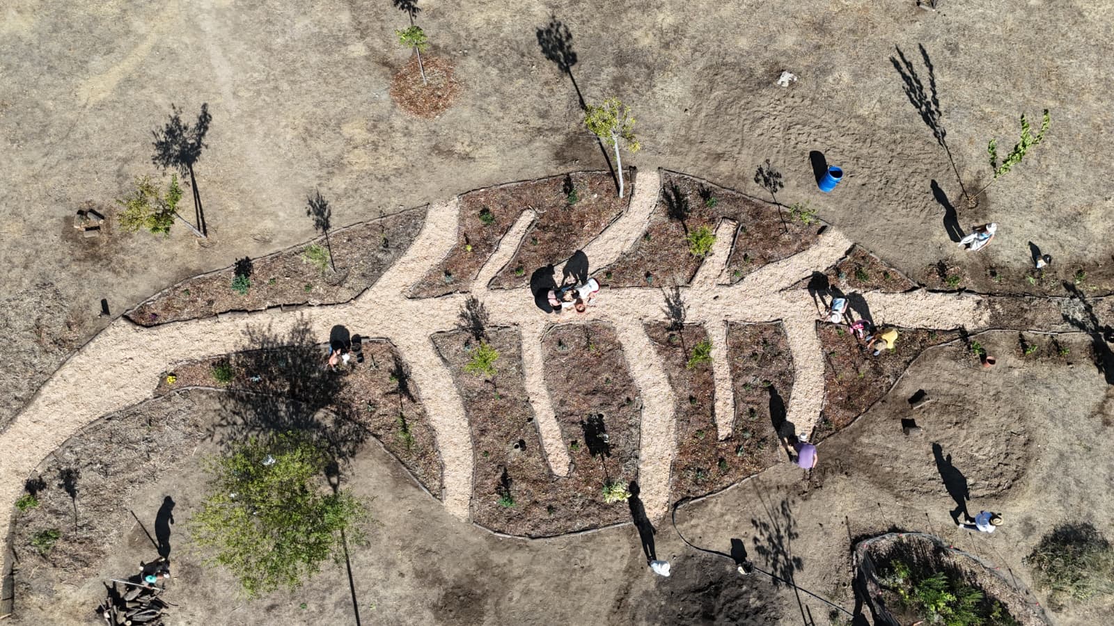 Vista aérea del bosque de alimentos con forma de hoja recién diseñado en Villalbilla.